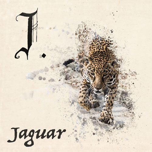 Jaguar - Graphic Art